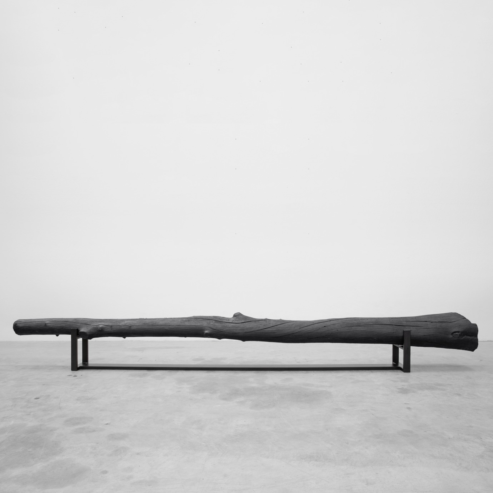 Olmo Olmo - Image 4
