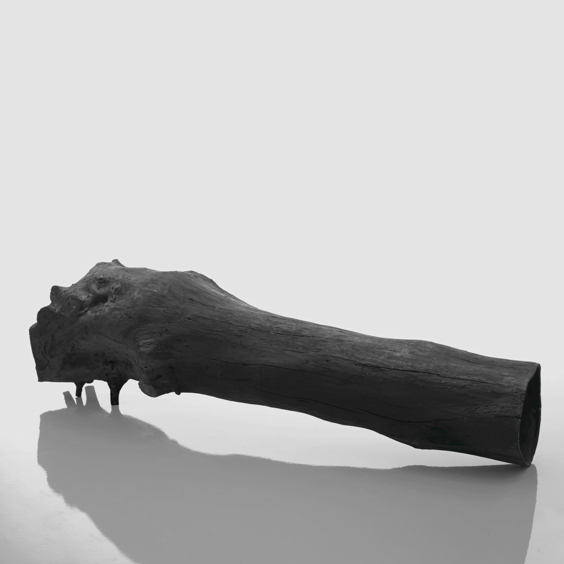 Olmo Olmo - Image 5