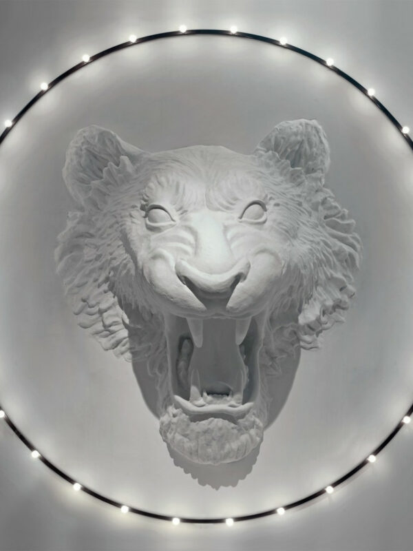 Circus