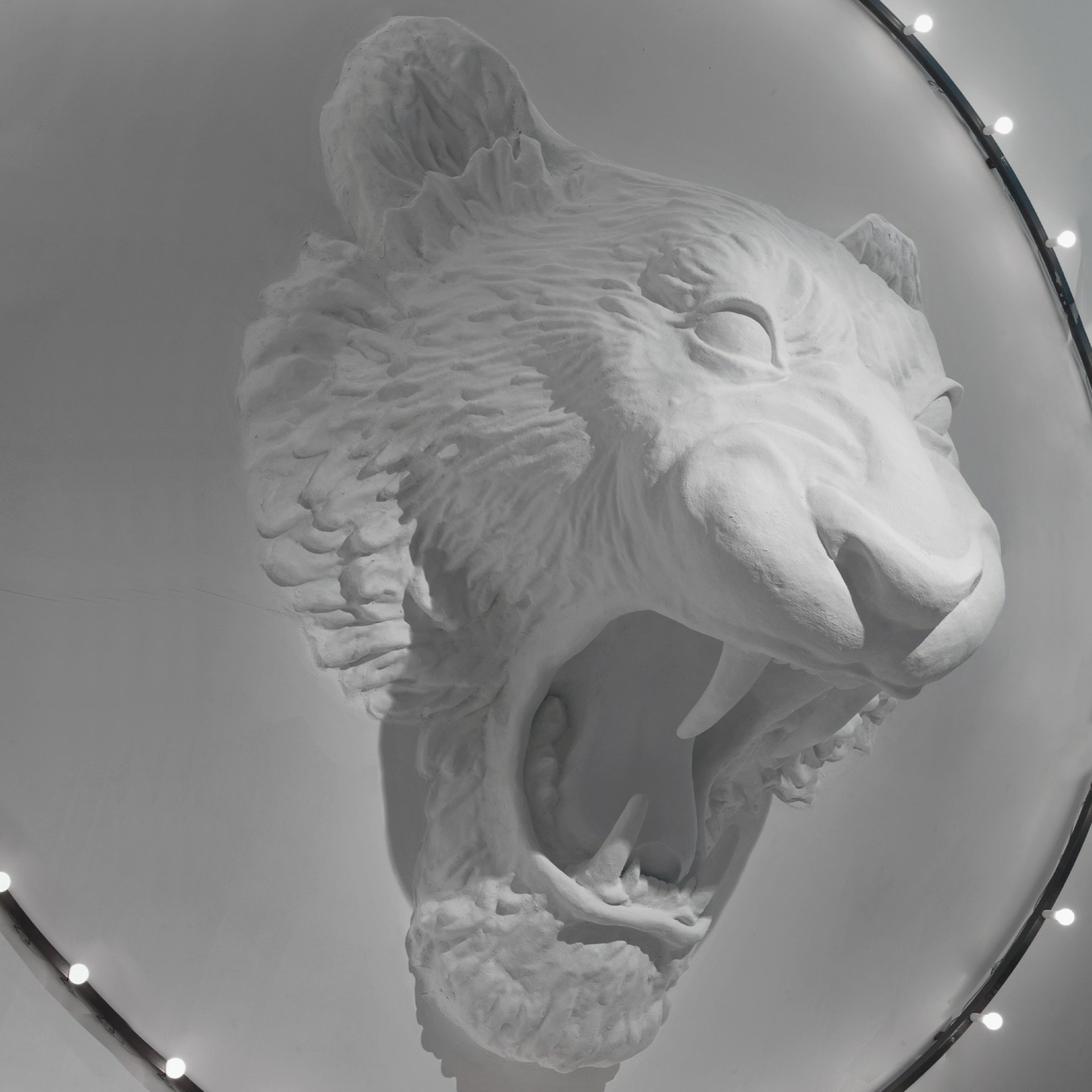 Circus Circus - Image 2