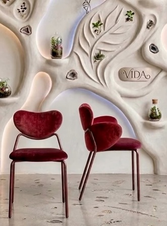 Vida