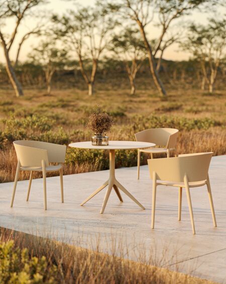 Dining Armchair - Africa